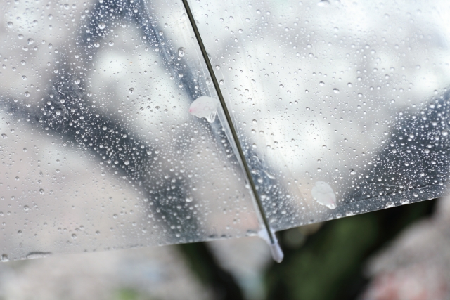 上野ハロウィン19は雨でも開催 雨天時は中止 台風や東京の天気予報に注意 日経 芸能 時事ネタニュースを配信するブログ