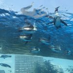 サンシャイン水族館の混雑状況やショー、展望台、夜、駐車場の混み具合