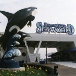 鴨川シーワールドの混雑状況とレストラン、ショー、雨天時の混み具合