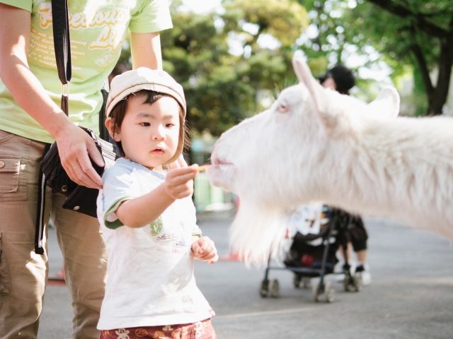 よこはま動物園ズーラシアの混雑状況や夜市 ナイトの混み具合 駐車場渋滞 日経 芸能 時事ネタニュースを配信するブログ