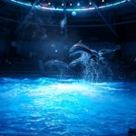 アクアパーク品川の混雑やショー、イベント、アトラクション、駐車場混み具合